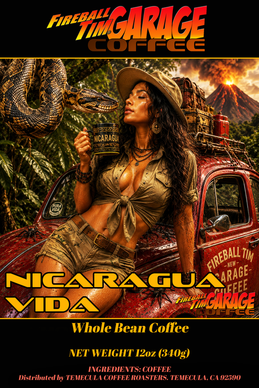 NICARAGUA VIDA